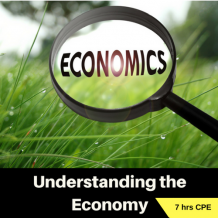Understanding the Economy 7 hr online CPE course for CPAs