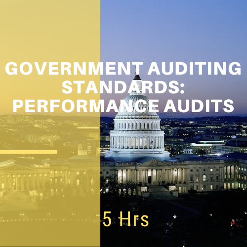 Government Auditing Standards: Performance Audits